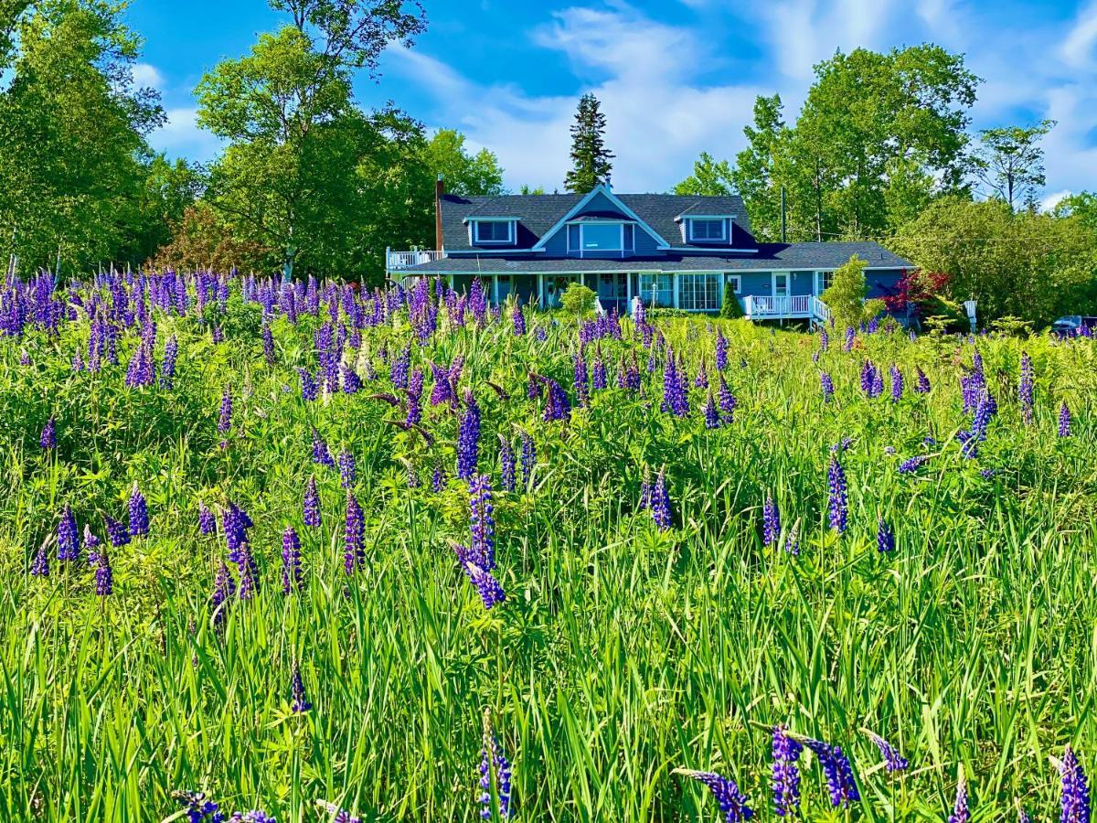 Broadwater Inn & Cottages Baddeck Ngoại thất bức ảnh